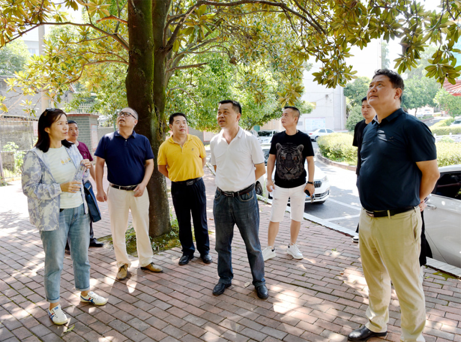 王伟华到省工矿所督导检查自建房安全整治情况